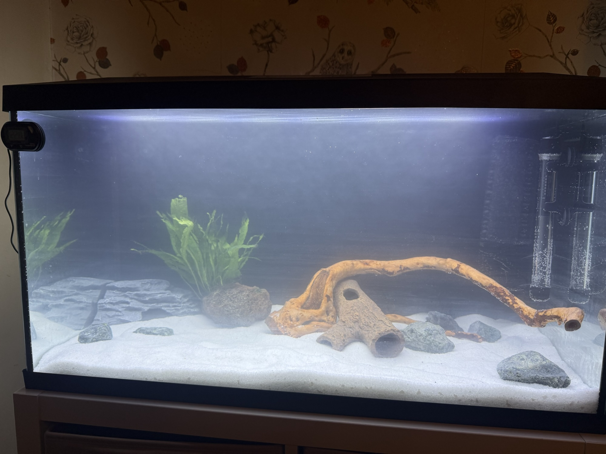 Aquarium