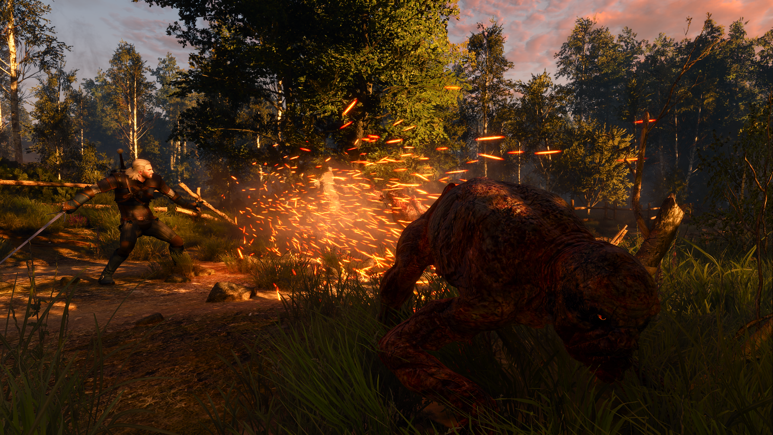 Witcher 3